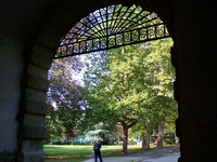 herta dopler altstadt 06