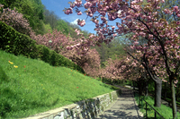 Frühlingsspaziergang