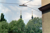 kuriose Gewächse
