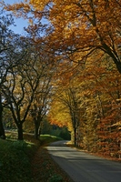 Herbstspaziergang am Kleeberg, St. Margarethen/Raab