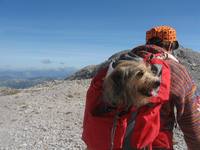 Ausflug auf den Dachstein