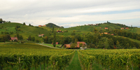 Südsteirisches Grenzland bei Ratsch