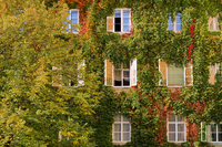 stephan weixler altstadt 05