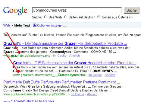 Werbeformen Graz, werbeformen im Internet, Werbeidee, werbeideen, Werbekampagne, Werbekampagnen, kreative Werbung Graz, Kunden werben Graz