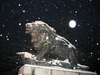 Der Hackerlöwe in einer Winternacht (Graz Schlossberg))