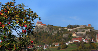 Blick zur Riegersburg