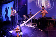 rhytmen, Schlagzeug, www didgeridoo, Schlagzeuger, Schlagzeuger Graz, snare drum, trommel Rhythmus, trommelmusik