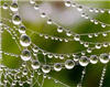 Quellvital, Wasserfilteranlage, Wasser filtern, sauberes Wasser, Quellwasser, reines Wasser, gefiltertes Wasser, gesundes Wasser