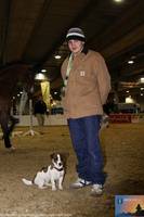 ig interhorse2009121302