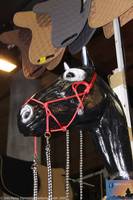 ig interhorse2009121308