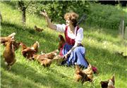 Frau füttert Hühner,Familienurlaub am Bauernhof,Familienurlaub auf dem Bauernhof,Familienurlaub Bauernhof,Familienurlaub Ferien