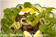 Kren,Käferbohnen,Salat,essen at,essen gehen,essen genießen,essen lecker