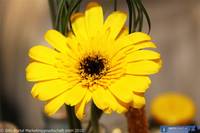KH2010021114