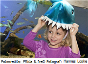 Spiele für Kinder Graz,Spiele für Kinder kostenlos,Süßwasser,Tafelwasser,Tafelwasseranlage,Trinkwasser,Trinkwasser Graz