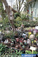 Pflanzen Gemuese Raritaetenmarkt Baumschule Ecker 2010 1
