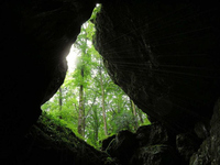 Gruen Grn Natur 08