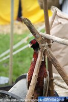 Mittelalterfest Graz - 97