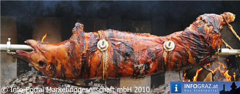 Fotos Mittelalterfest,Gaukelei,Gewand Mittelalter Graz,Gewandung Mittelalter,Gewandungen