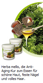 Herba mellis,Allergie,Depressionen,Immunsystem,stärkend,Nerven,Fenchel,Brot,schlank,Maikur,Maitrunk