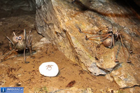 WASSER-FEST Lurgrotte  - 116