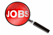 Job & Karriere
