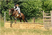 Reiten Kinder,Reitunterricht f&uuml;r Kinder Graz,Reiten Anf&auml;nger,Reitstunden f&uuml;r Kinder Graz