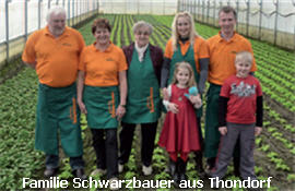 Familie Schwarzbauer,Thondorf,Bauernhöfe, Microorganismen, Tomaten Paprika,Bio Gemüse, Gemüse Sorten,gesunde Ernährung Graz,Gerichte mit Gemüse,ernte 2010 Graz,Gemüse auflauf,ernte,gesund kochen