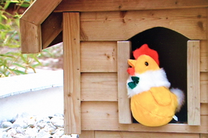 Tierbetreuung und Tierpflege
