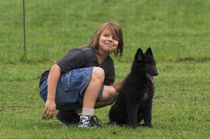 Tierfreunde 