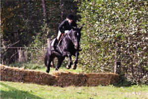 Kumberg 9.10.2010