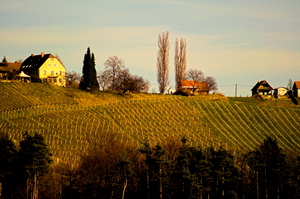 Gastro Ausflüge