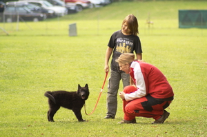 Hundeschulen