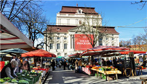 Bauernmarkt am Kaiser-Josef-Platz,Grazer Oper,Markt,Grazer Märkte,Markt in Graz