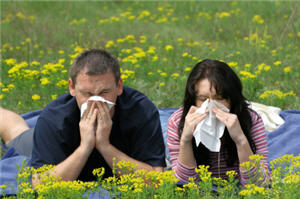 Allergie,Cortison bei Heuschnupfen,Heuschnupfen Medikament,allergisches Asthma,Symptome Allergie,Nahrungsmittelallergie Graz,Allergie Desensibilisierung,nahrungsmittelallergien Symptome