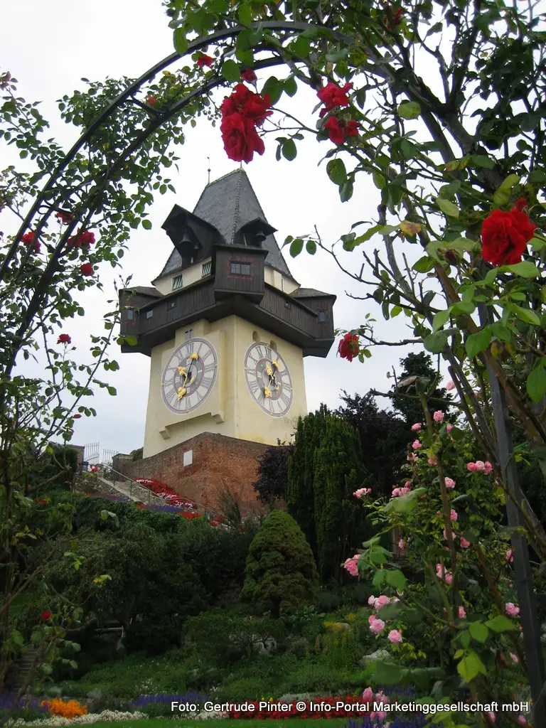 Rosenbogen am Grazer Schloßberg mit Blick auf den Uhrturm, das Wahrzeichen von Graz. Graz 1.Bezirk - Innere Stadt 