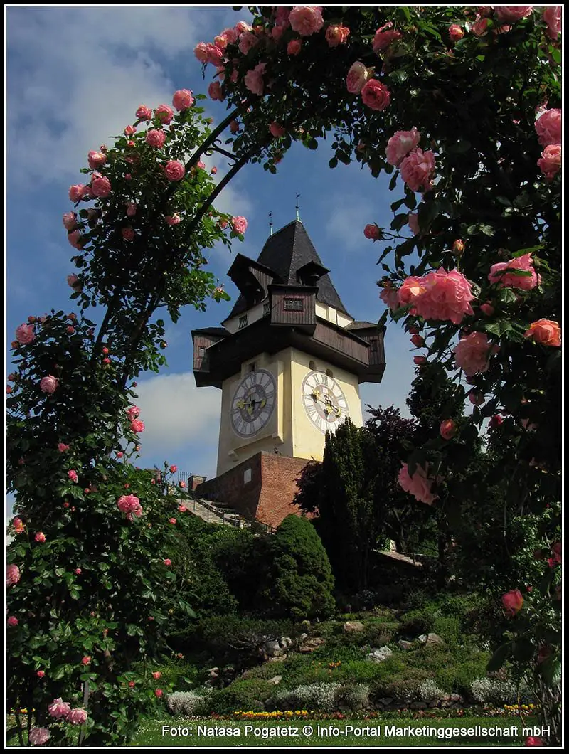 Rosenbogen am Grazer Schloßberg mit Blick auf den Uhrturm, das Wahrzeichen von Graz. Graz 1.Bezirk - Innere Stadt 
