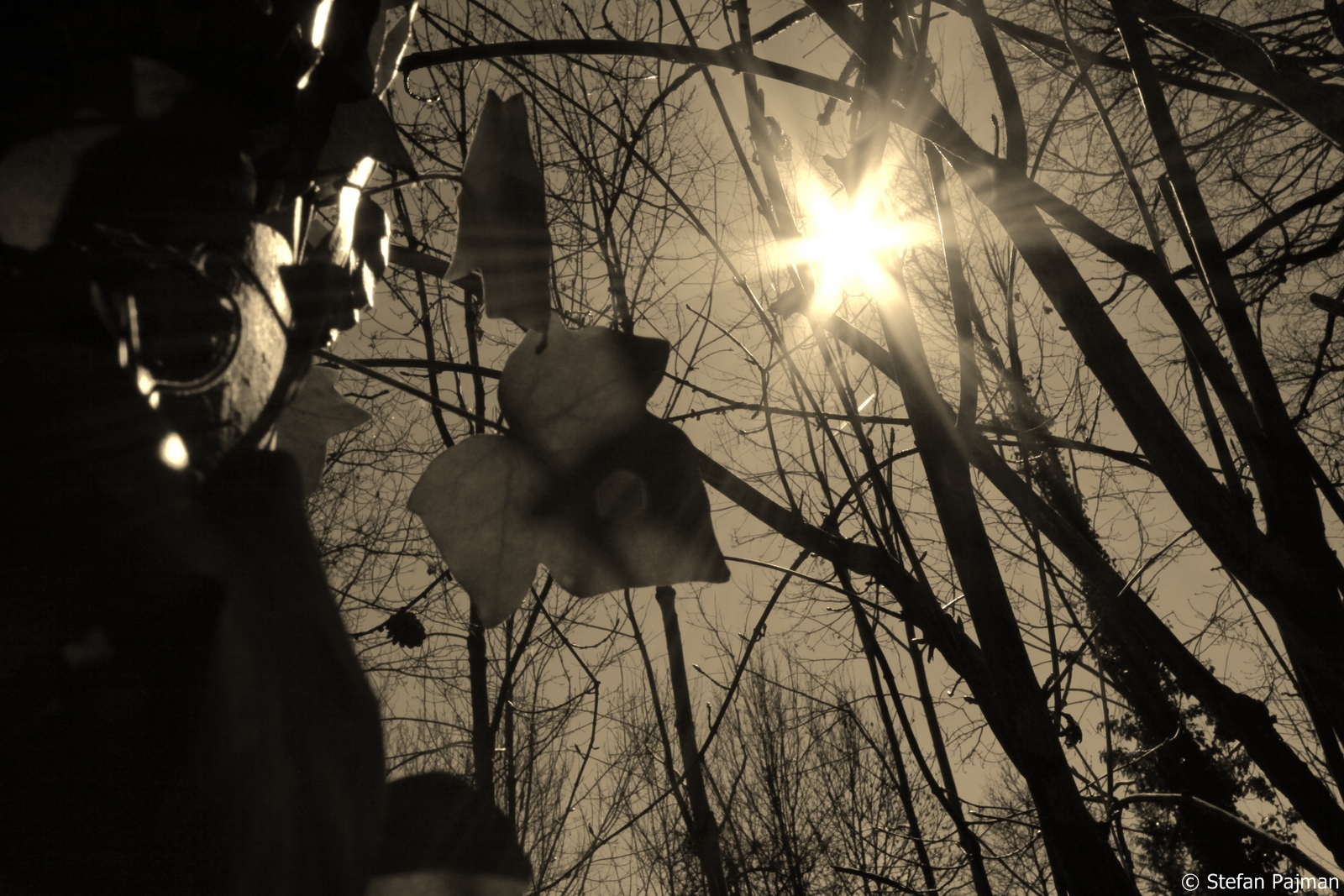 Graz 10. Bezirk - Ries 