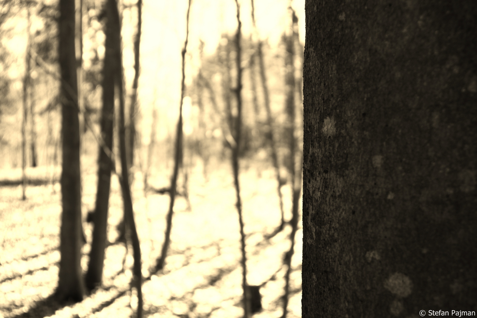 Graz 10. Bezirk - Ries 