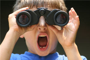 Fernglas,Feldstecher,Suchkriterium,Reklamation,Grazer unternehmen,Suchmaschinenoptimierung,AdWords,Google Optimierung