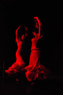 academia flamenca las hermanas Logo 0109