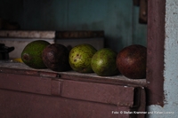 Von Graz nach Kamerun