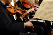 Musikunterricht für Saiteninstrumente von E-Gitarre bis Geige 
