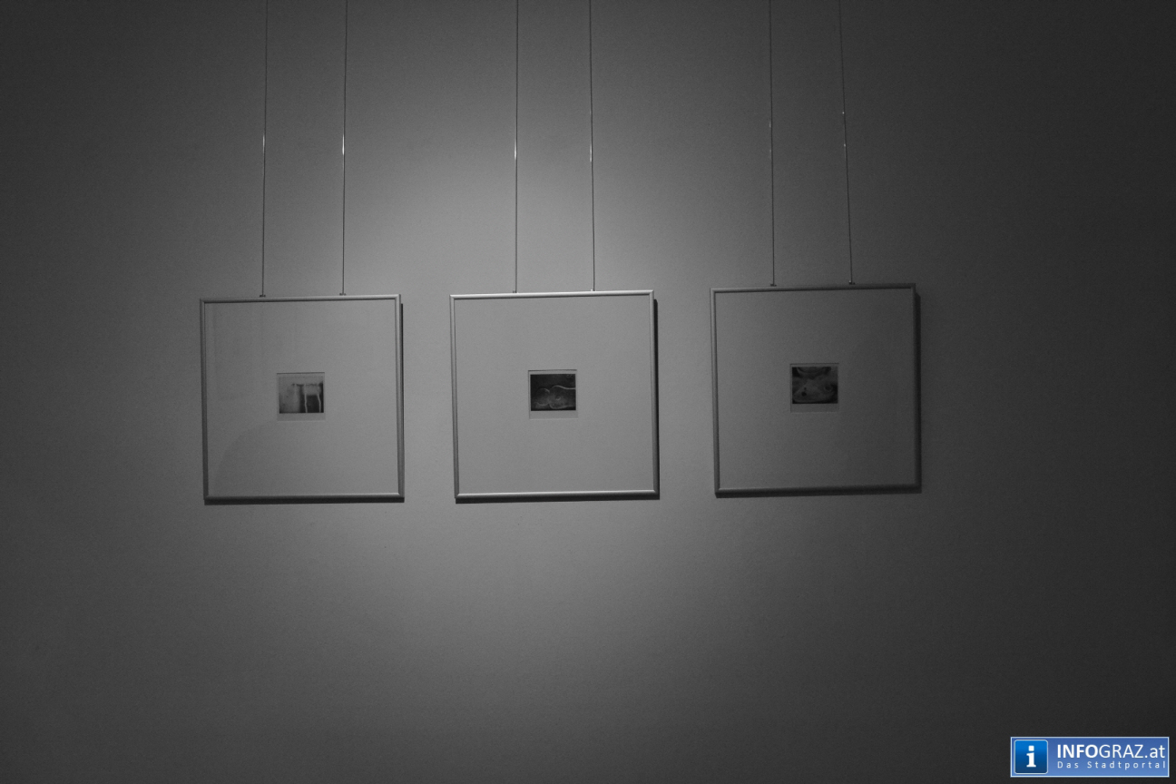PATINA - Mario Liftenegger - Galerie G69 - 058