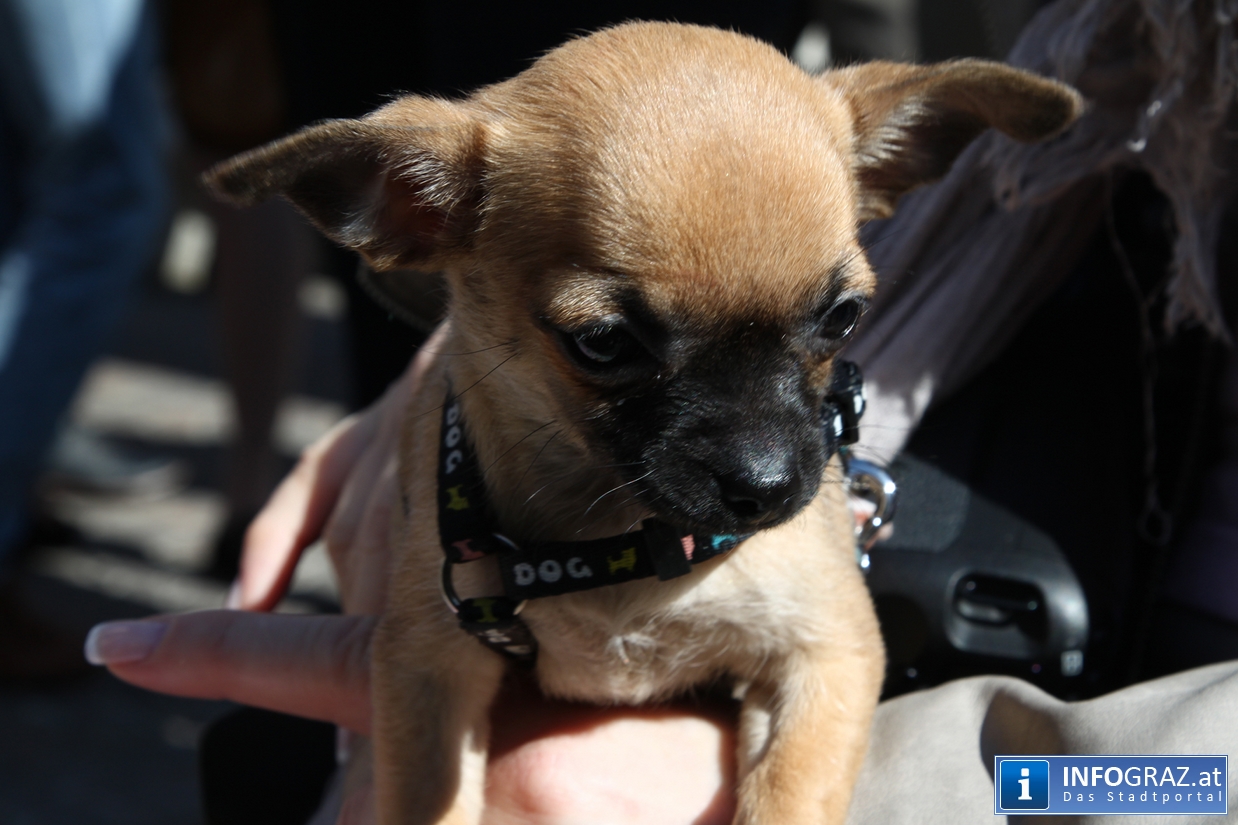 Freiluftausstellung steirischer Fotografen - 075