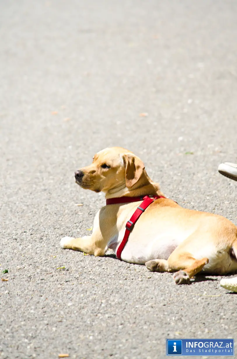 Hausboot Label Day &-Night - 009