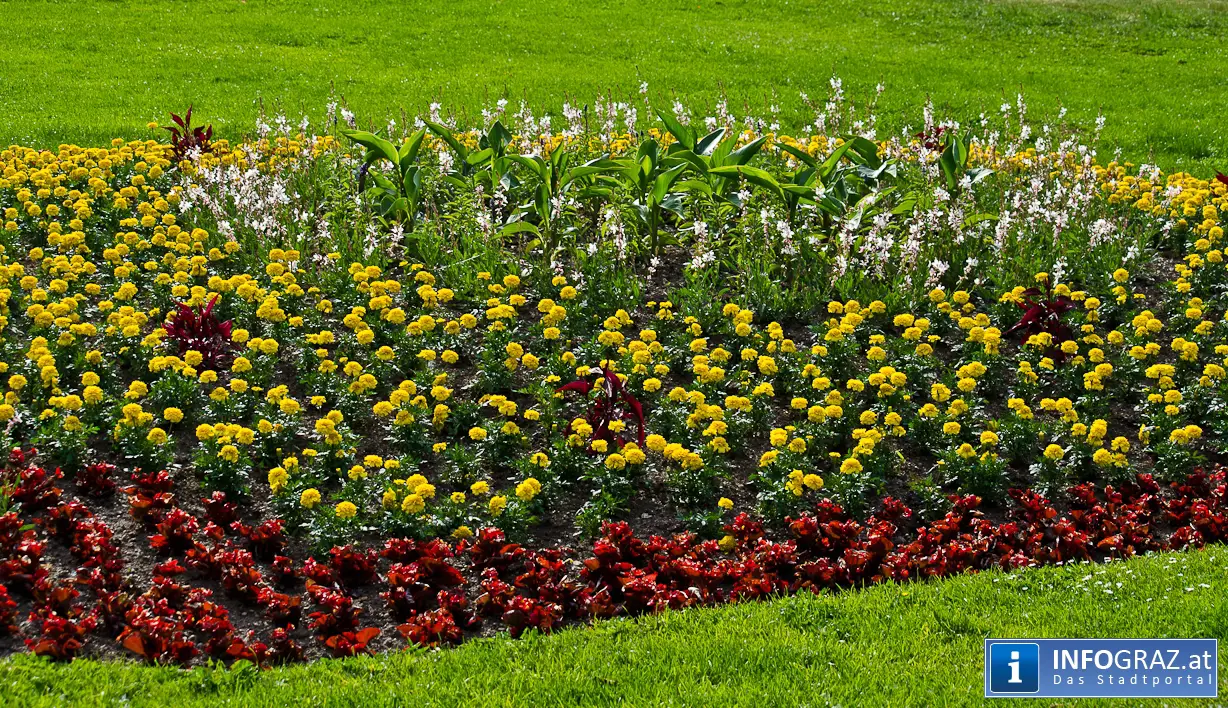 Hausboot Label Day &-Night - 049