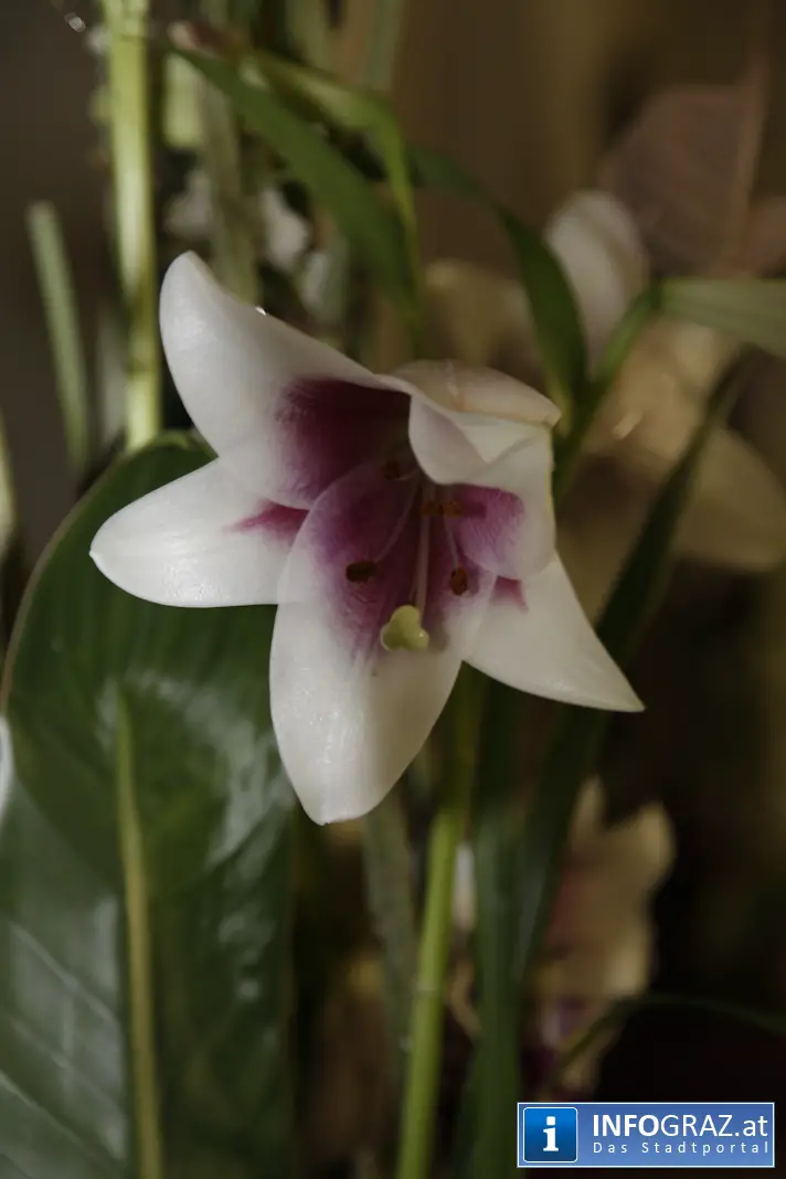 Multikulti-Ball 2012 - Summer Edition - 107