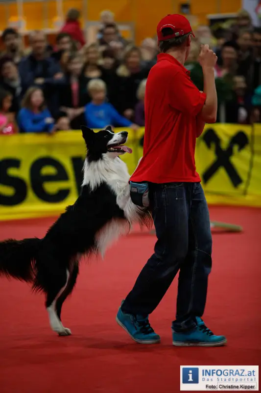 Mensch und Tier 2012 - 006