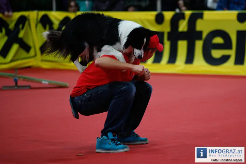 Mensch und Tier 2012 - 008