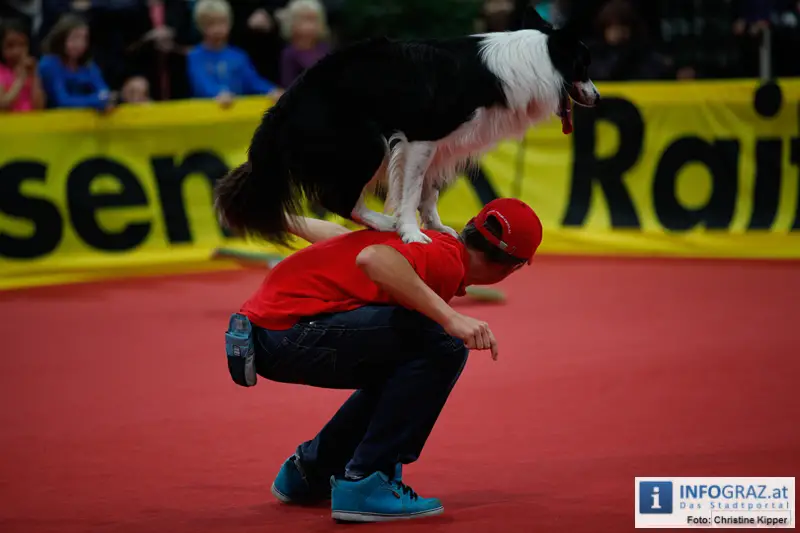 Mensch und Tier 2012 - 009